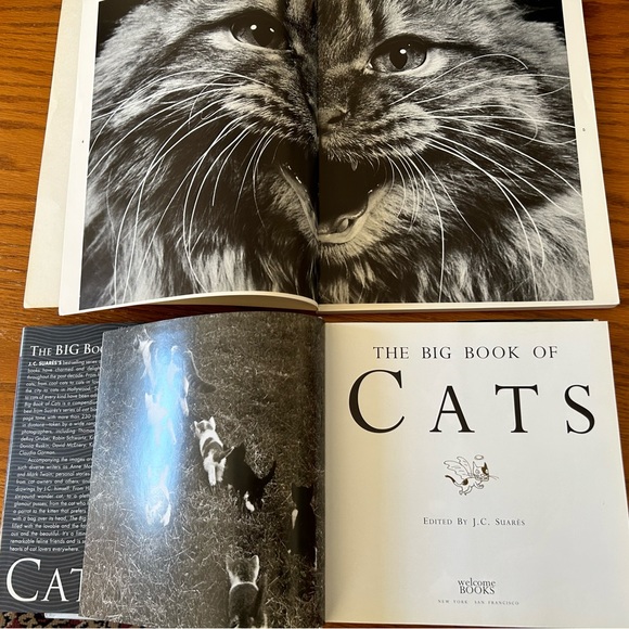 Two books of Cats & Kittens. Cute, cuddly and mischievous A must for Cat Lovers! - Picture 4 of 4